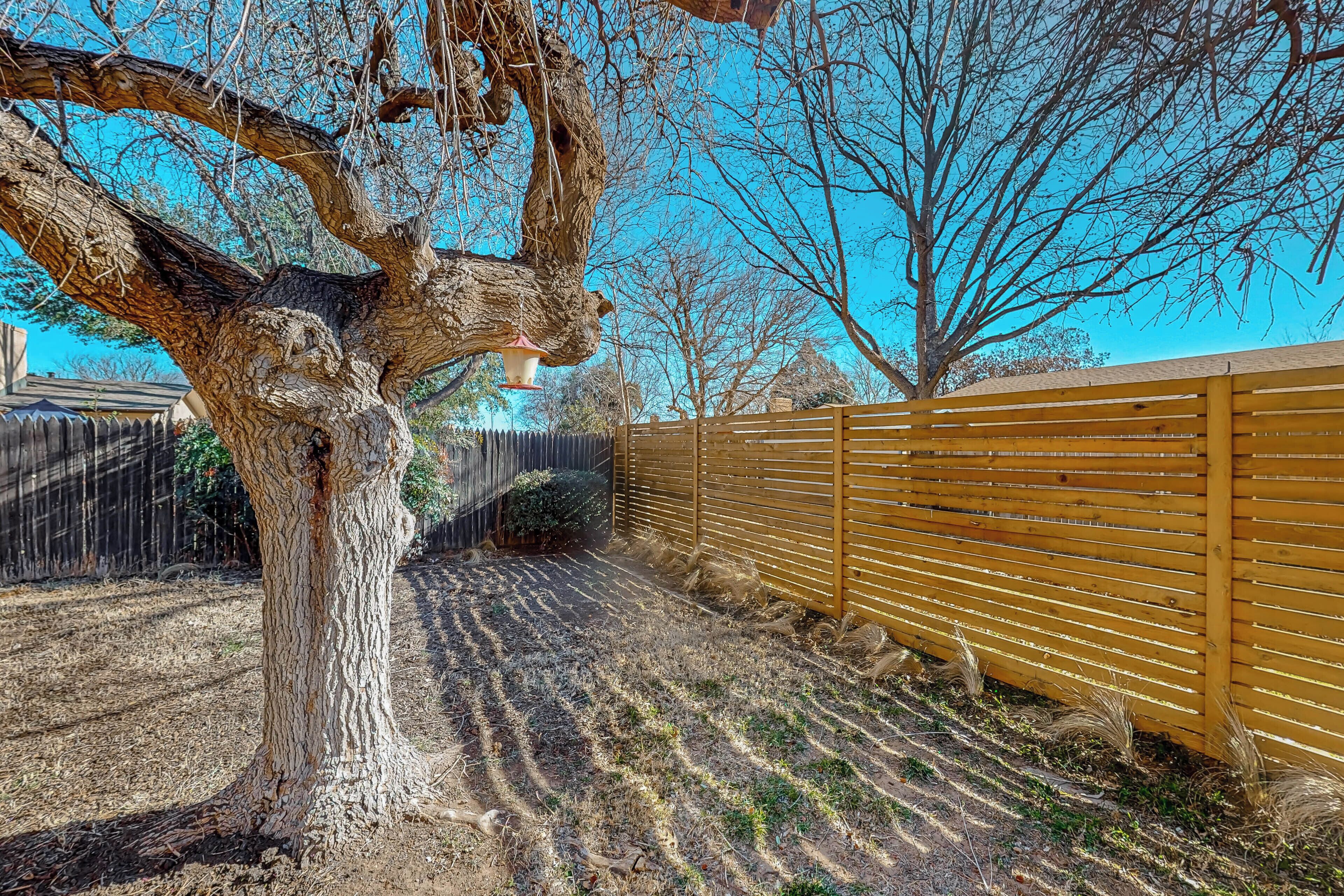 A tree-lined backyard with a wooden fence and a clear blue sky.