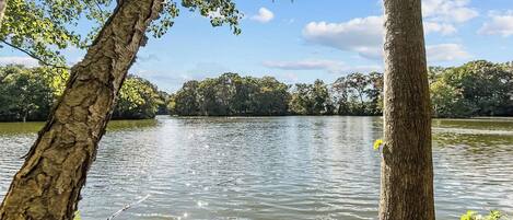 A calm lake surrounded by trees.