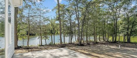 A view of a lakeside property with a concrete patio and tall trees.