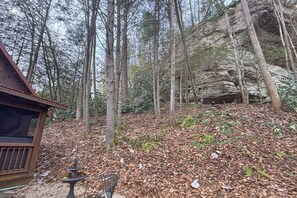 House (1 Bedroom) | Interior - Beautiful Wood Cabin in Red River Gorge (Rogers)