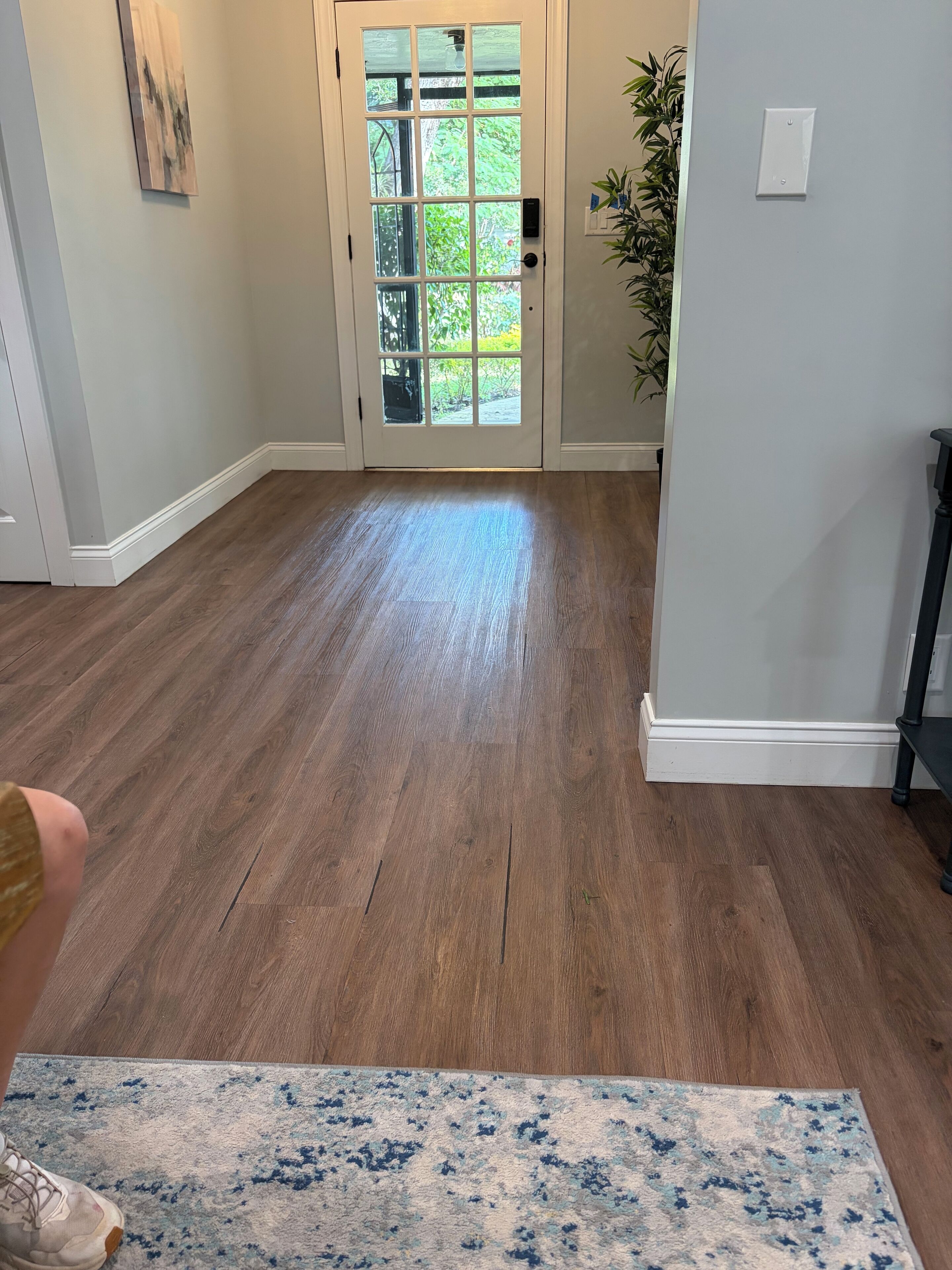 A hallway with wooden flooring, a glass door leading outside, and a potted plant.