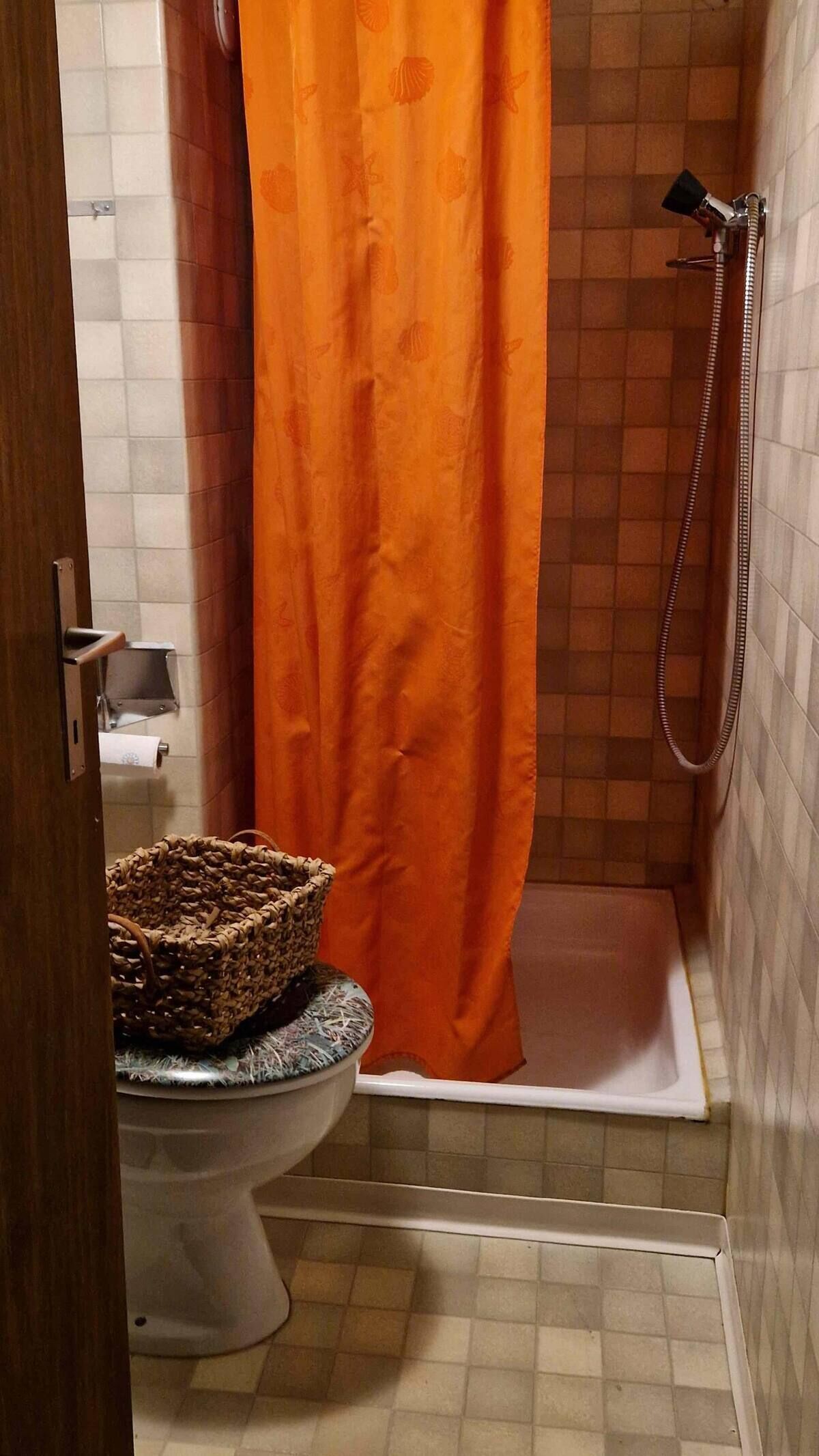 Shower, towels, soap, toilet paper