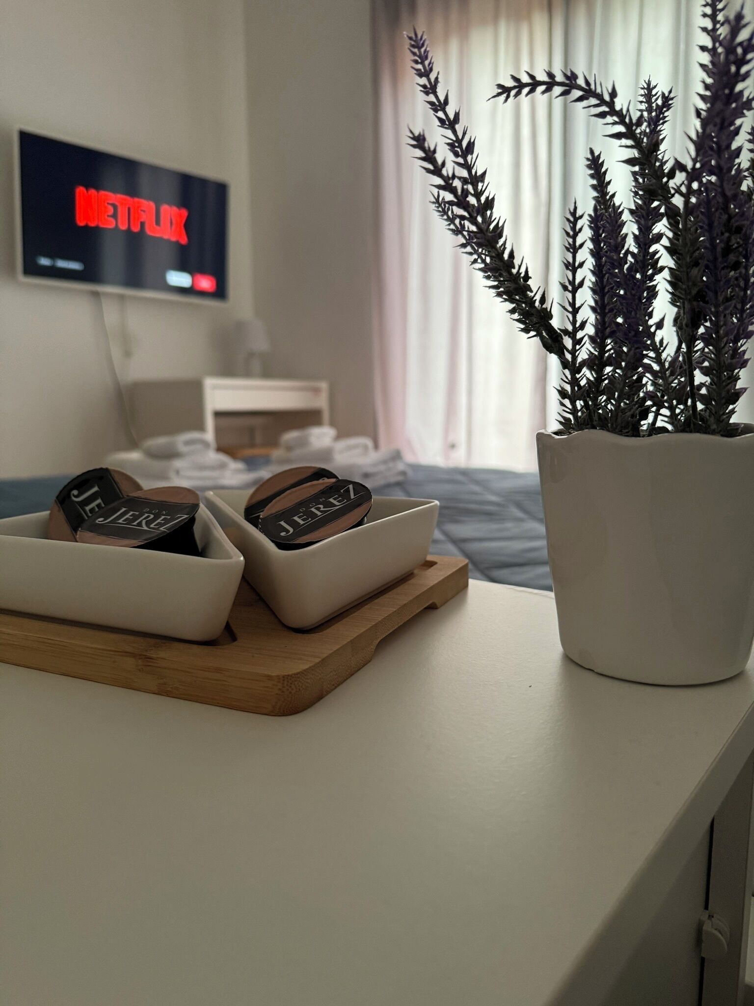 Une pièce bien rangée, avec un lit, un téléviseur affichant le logo de Netflix, une plante et un plateau sur lequel reposent deux livres.