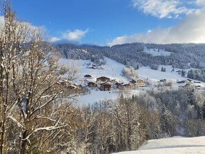 Miscellaneous - Ski in/ski out apartment & swimming pool - Flumet (Flumet)