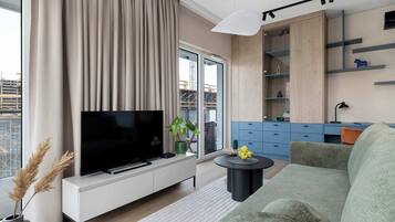 Fernseher, Arbeitsbereiche