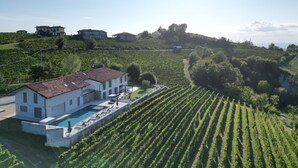 Viñedos con hileras de vides, un edificio blanco con piscina, y una colina con casas al fondo.