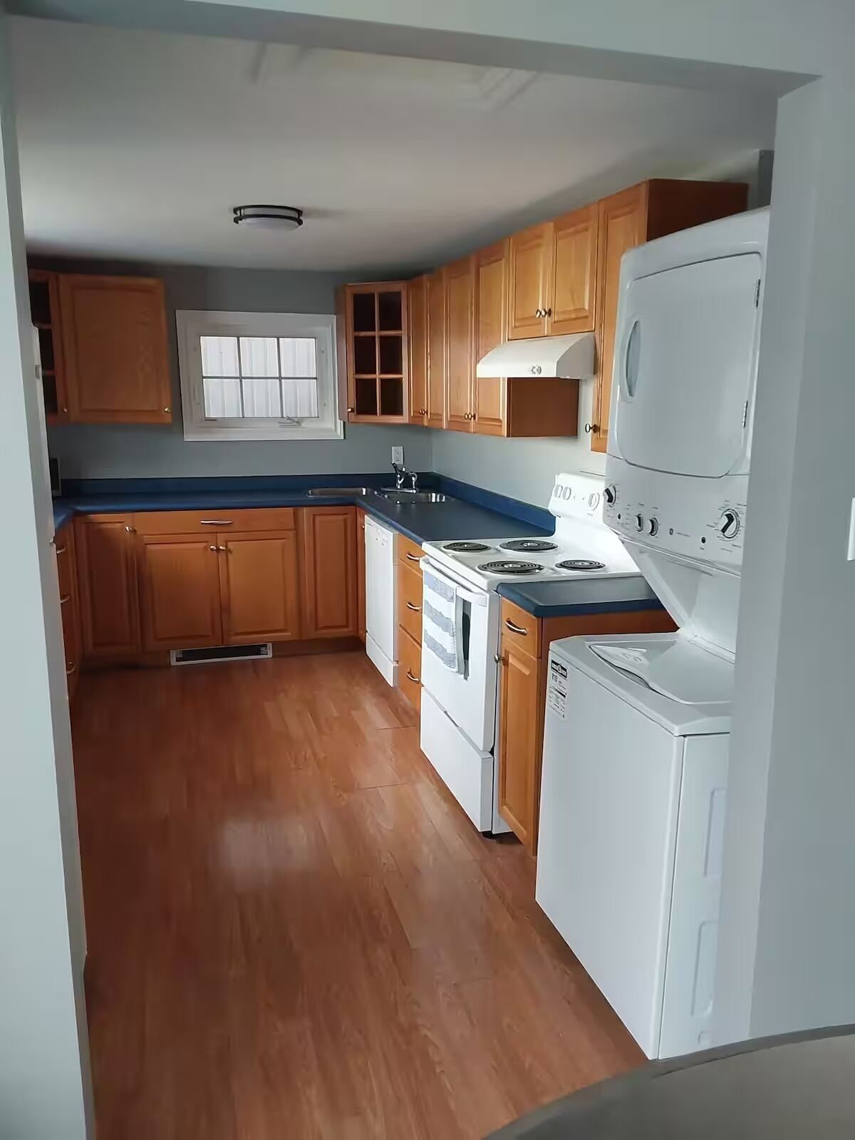 Four, plaque de cuisson, serviettes en papier