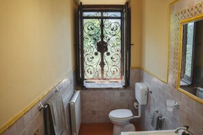 Shower, hair dryer, bidet, towels