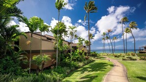 A pathway leading to a building with a view of the ocean, surrounded by palm trees and lush greenery. - Wailea Elua Village 1702- 2Bdr+2Bath Condominium-Only Steps to the Ocean! (Wailea)