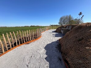 Property grounds - Cozy Friesenhuus with field edge location on the old dike (Carolinensiel)
