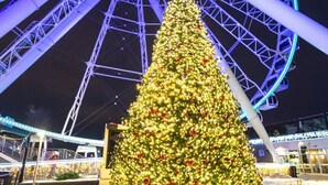 Un gran árbol de Navidad frente a una noria.