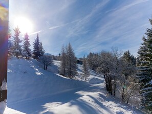 A snow-covered mountain path with trees and a clear sky.