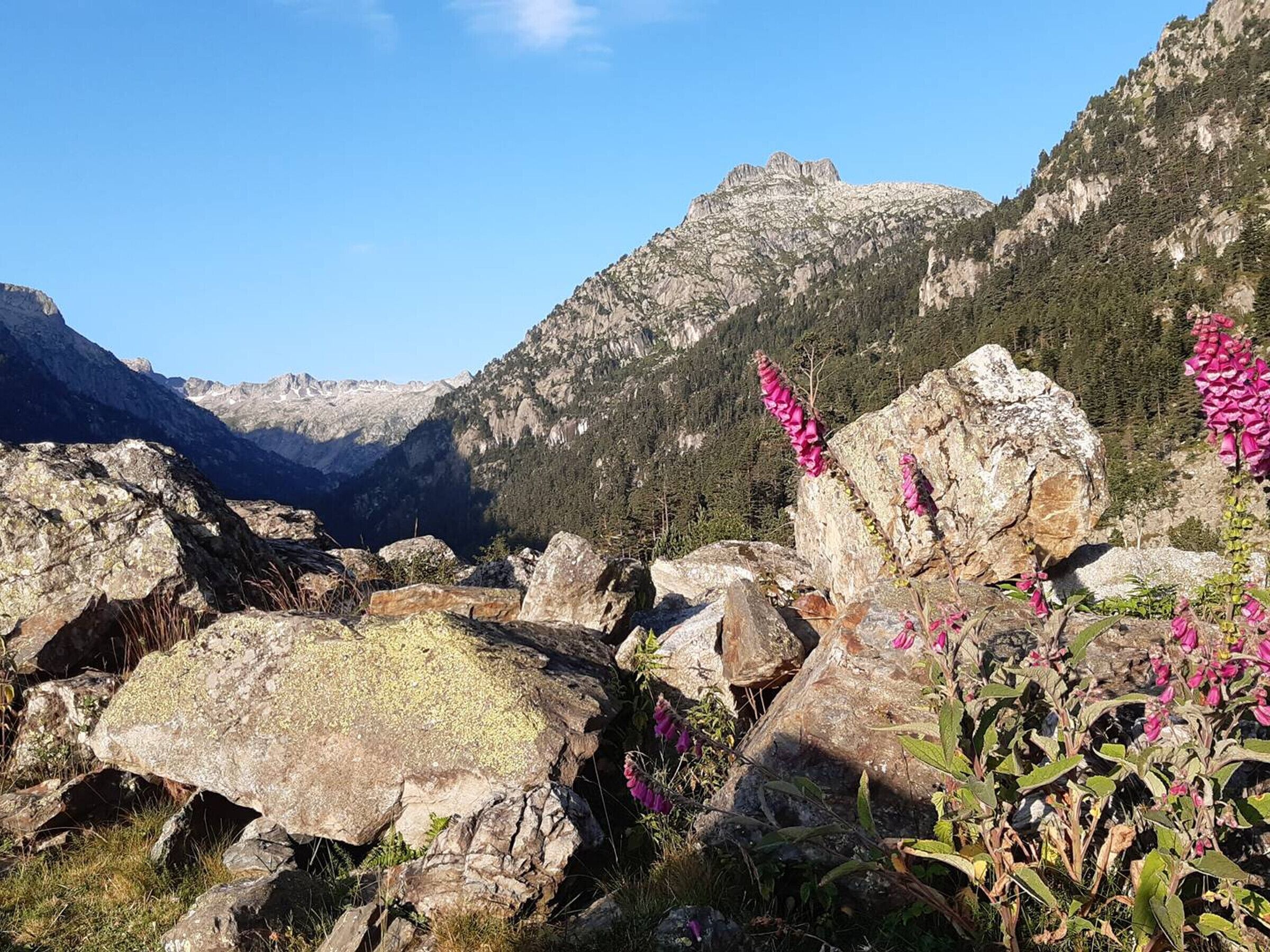 A mountainous landscape with rocky terrain and sparse vegetation.