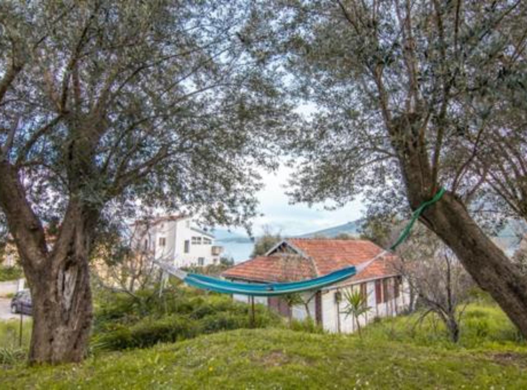 Una casa con techo de tejas rojas, rodeada de olivos y follaje.