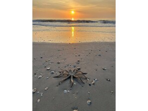 Beach - Artsy Beach Condo 2 jacuzzi pool 3 blocks from Ocean with AC and gym access (Melbourne)