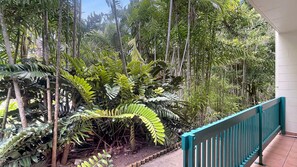 Property grounds - Magnetic Reef 5 - Homey and welcoming island unit (Arcadia)