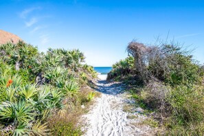 Ein sandiger Pfad führt zu einem Strand, gesäumt von dichter Vegetation.