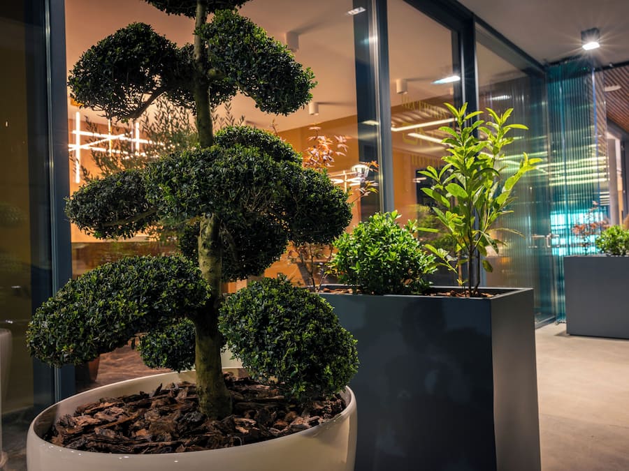 Overnatningsstedets facade