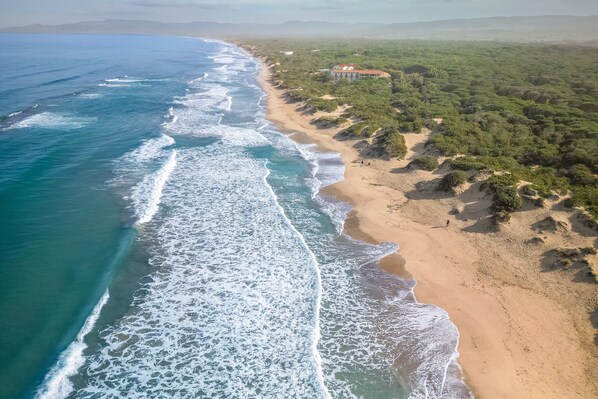 بالقرب من الشاطئ