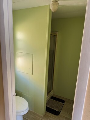 Une petite salle de bain avec des toilettes, une douche et un mur de couleur vert clair.