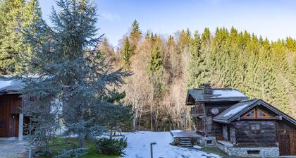 Cosy Apartment in Morillon