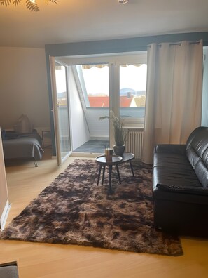 Living area - Apartment 'Domus Lux 404' with Balcony and Wi-Fi (Bad Säckingen)