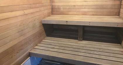 CV6B: Scotch Bonnet B