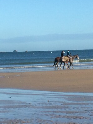 Strand