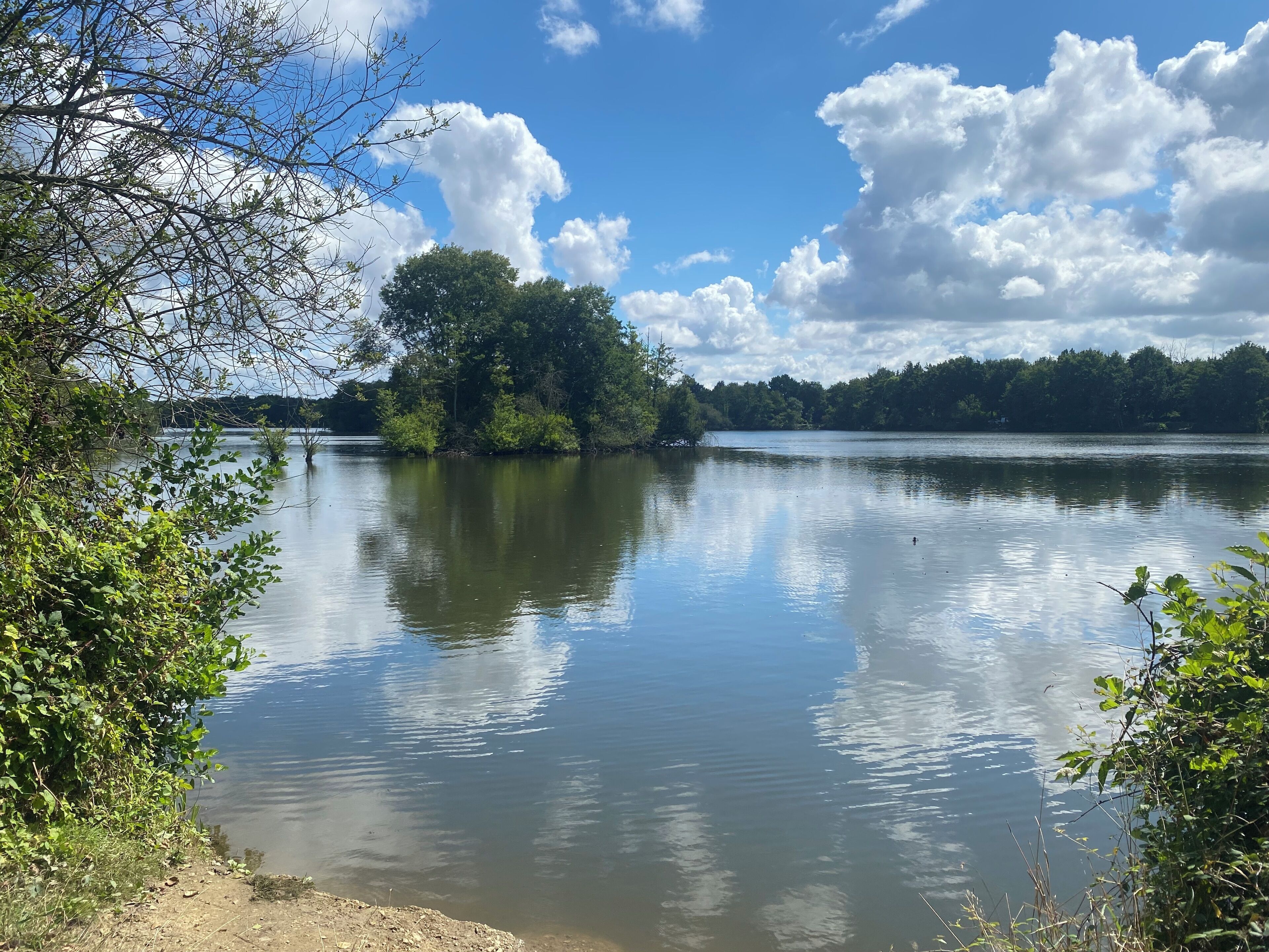 A calm lake surrounded by dense greenery and trees.
