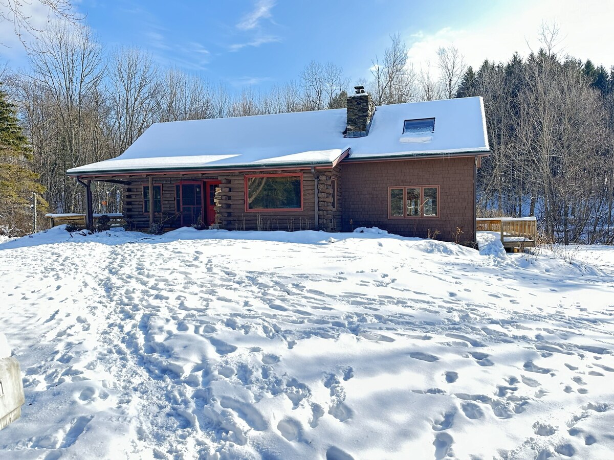 Imagen de perfil del propietario o de la propietaria