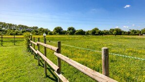 A fenced field with a clear sky.