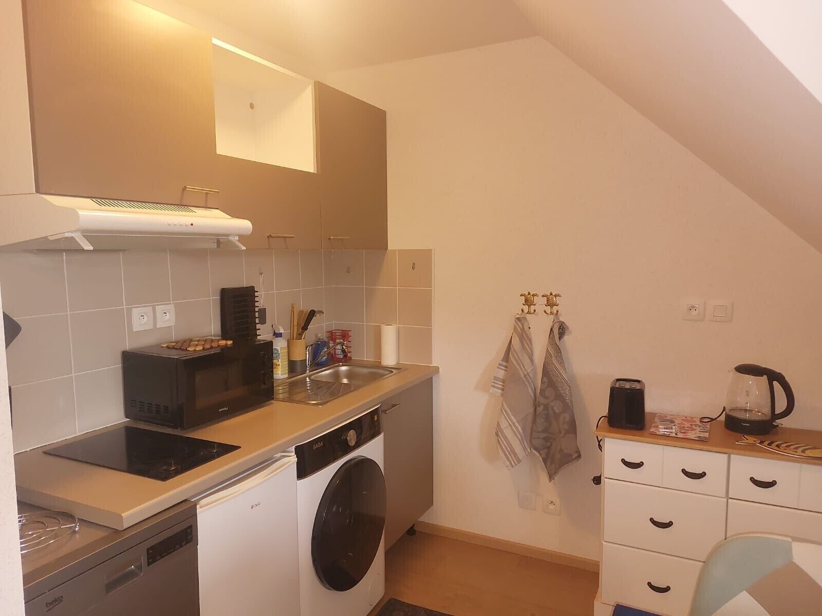 Kühlschrank, Mikrowelle, Herdplatte, Geschirrspüler