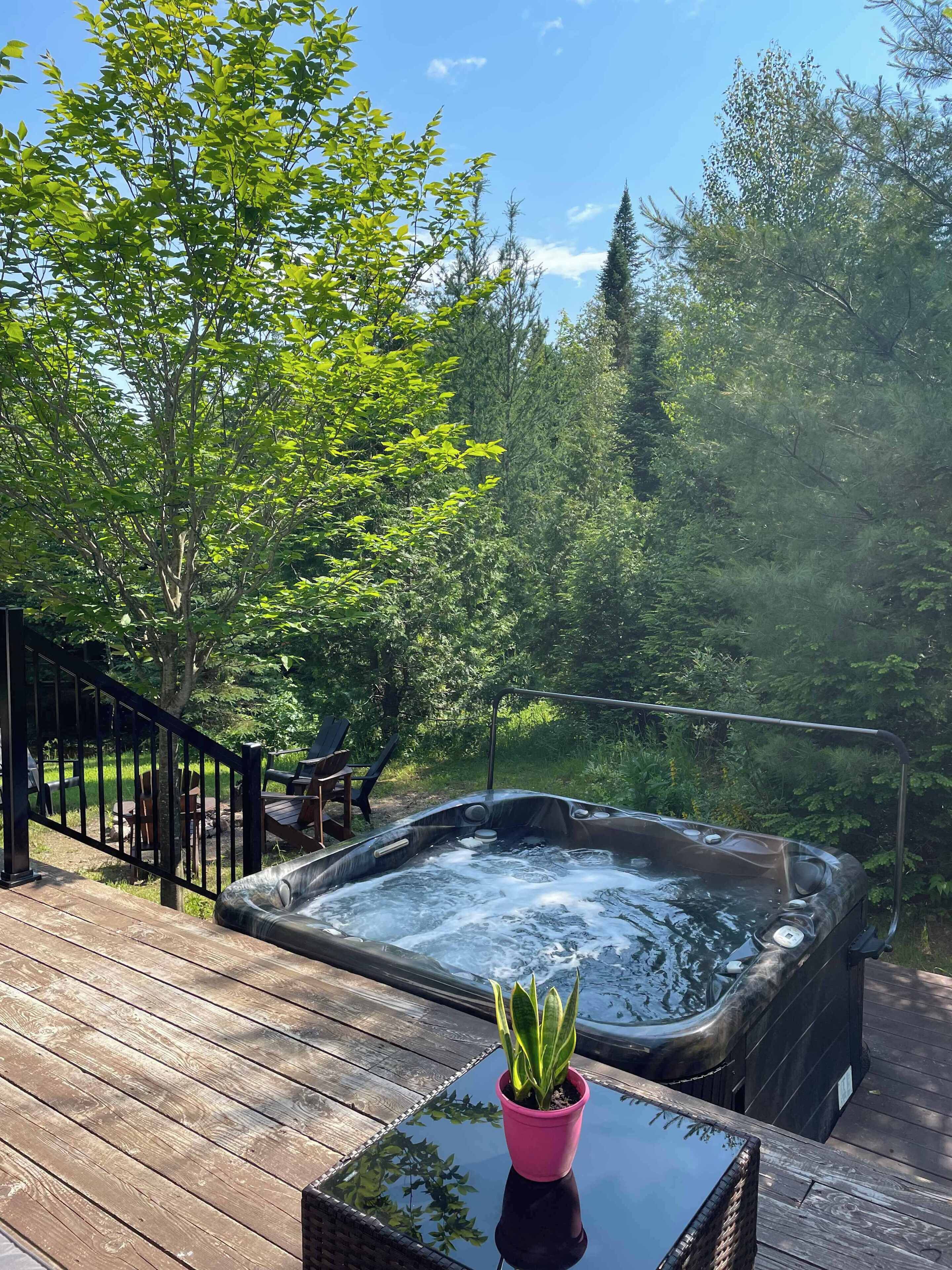 Un bain à remous sur une terrasse en bois, avec une plante en pot au premier plan.