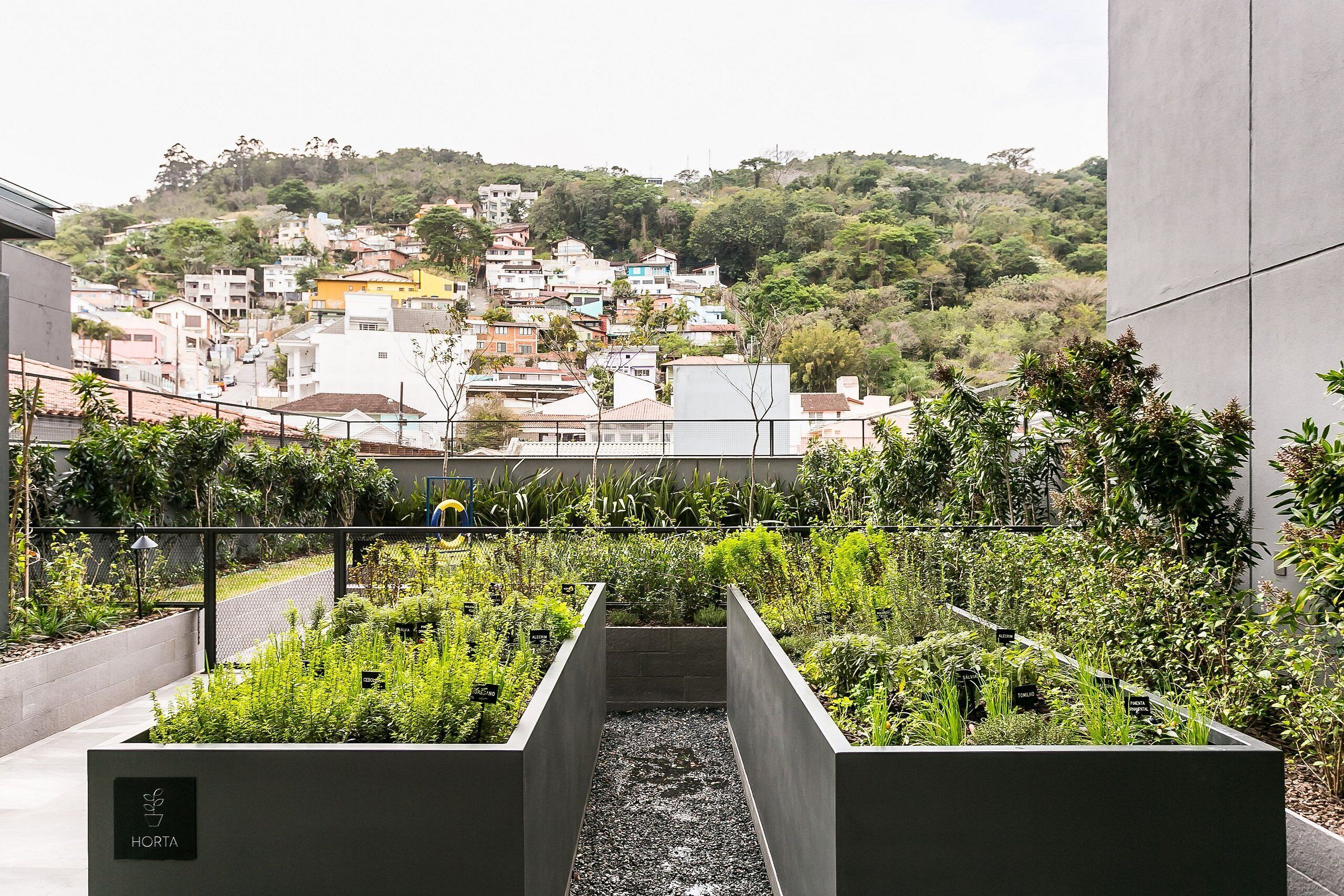 A rooftop garden with a view of a hillside residential area.