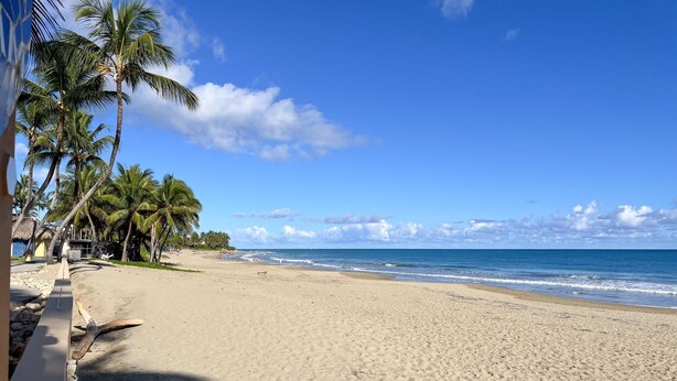 Ein Strand mit Palmen und blauem Himmel.