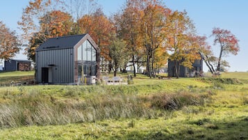 Iron/ironing board, free WiFi