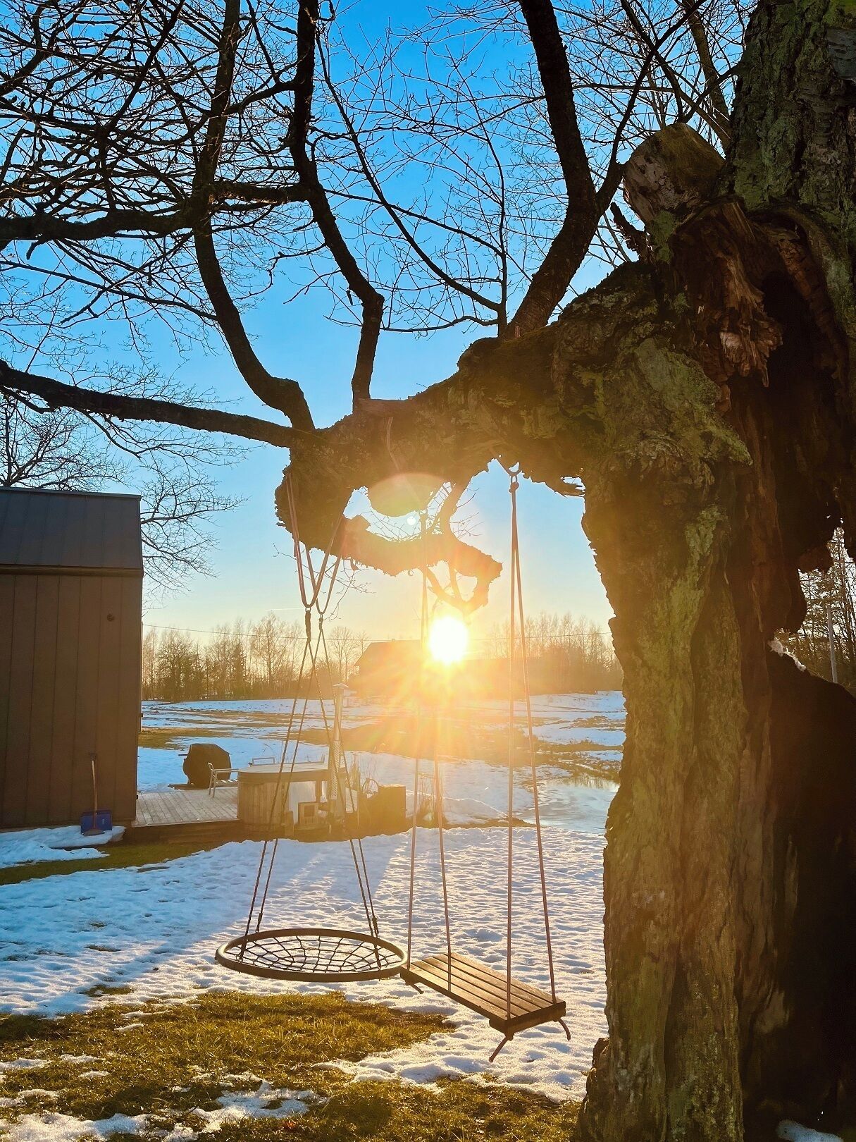 Une balançoire sous un arbre, avec un coucher de soleil en arrière-plan.