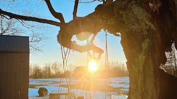 Une balançoire sous un arbre, avec un coucher de soleil en arrière-plan.