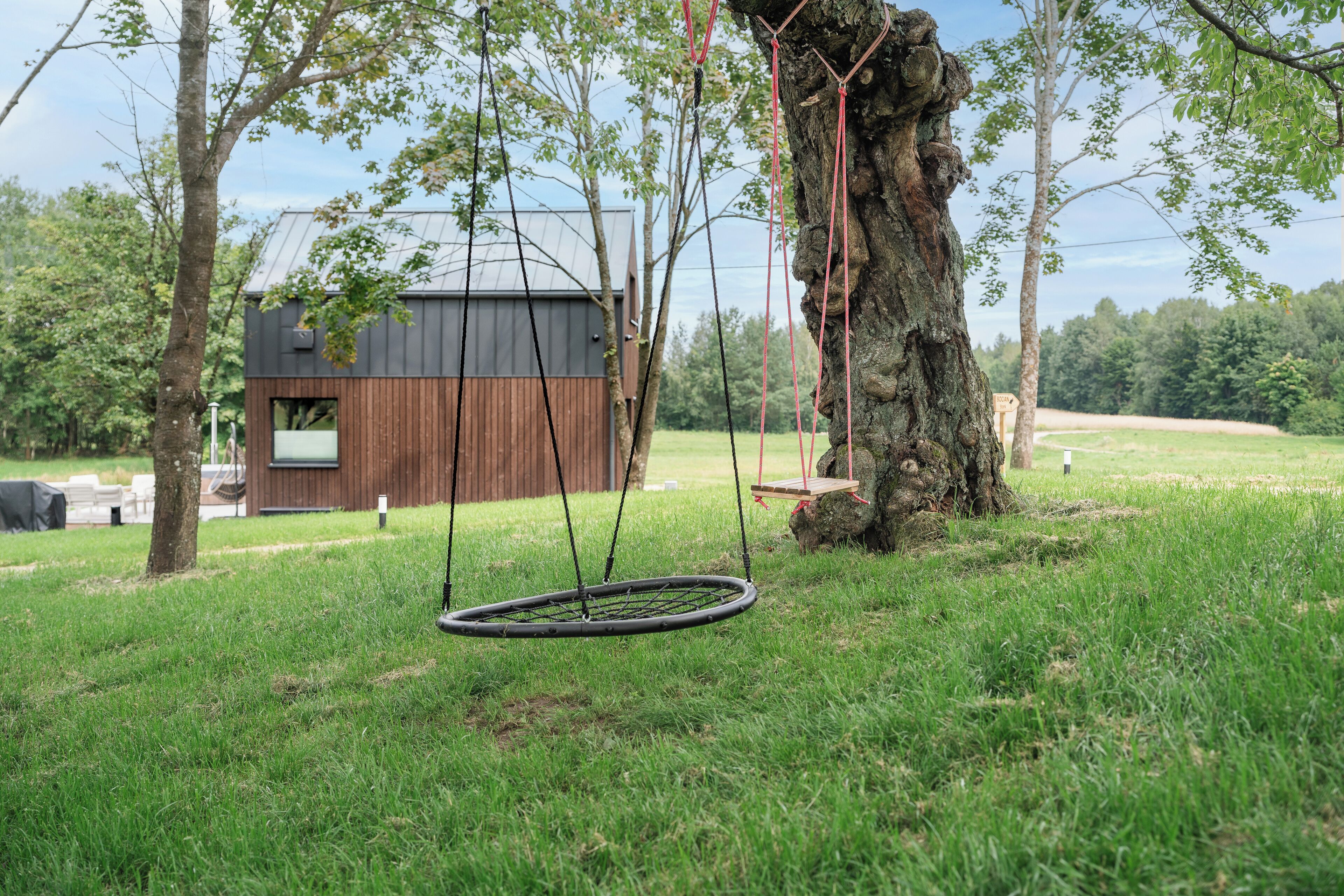 A swing hanging from a tree in a grassy area with a modern building in the background.