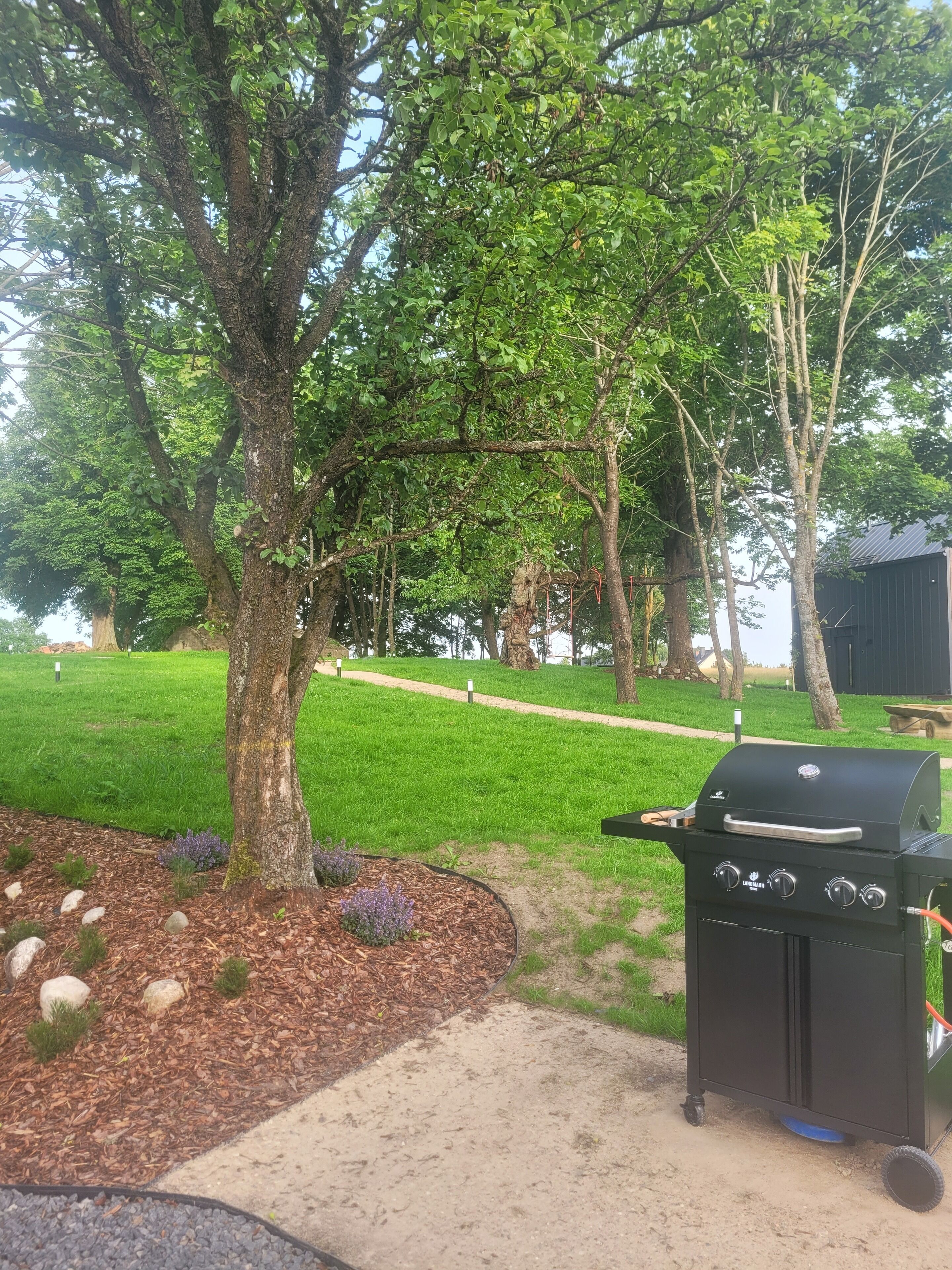 Un patio trasero con una parrilla, un sendero pavimentado y un área verde con árboles.
