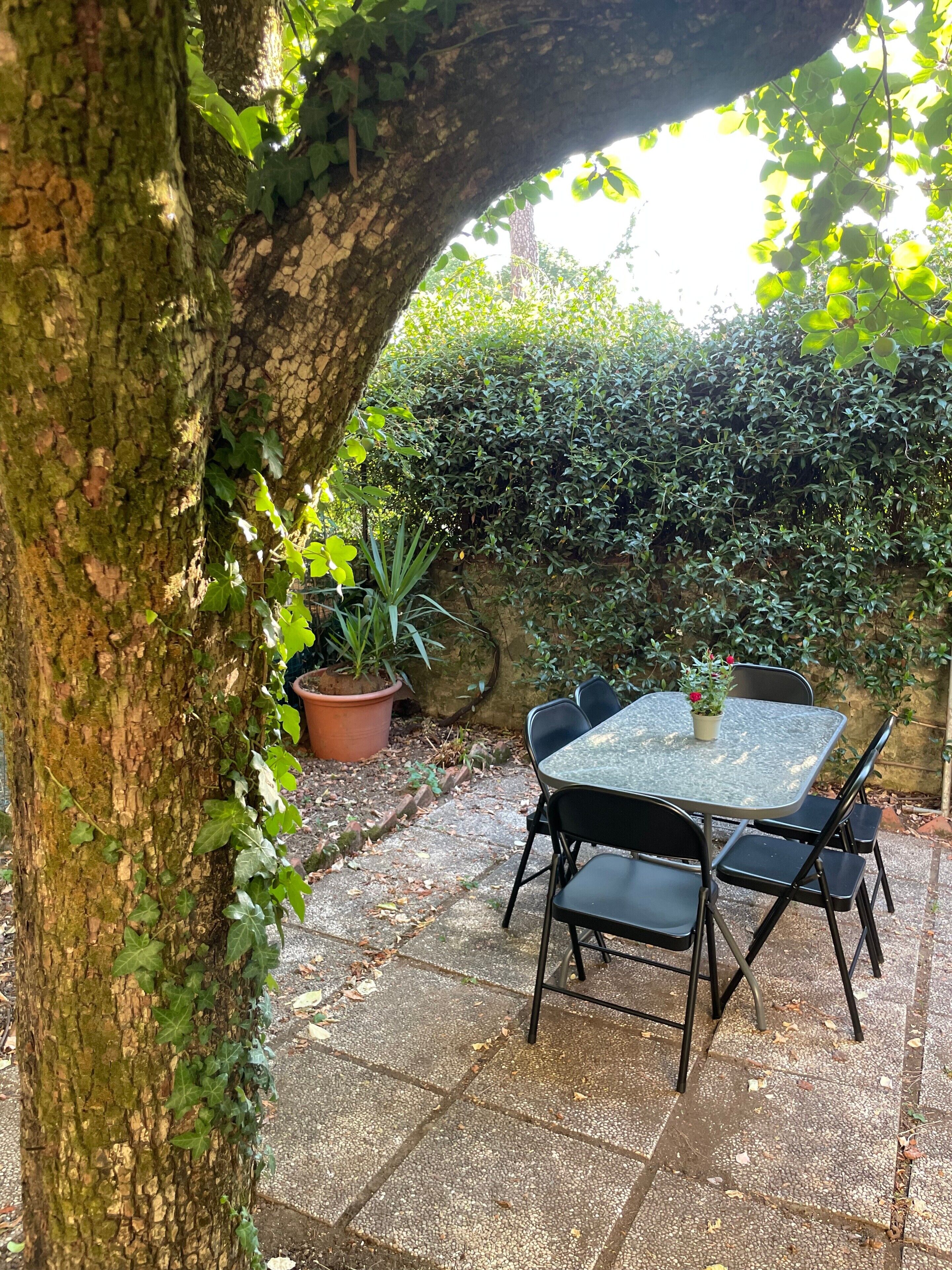 Speisen im Freien