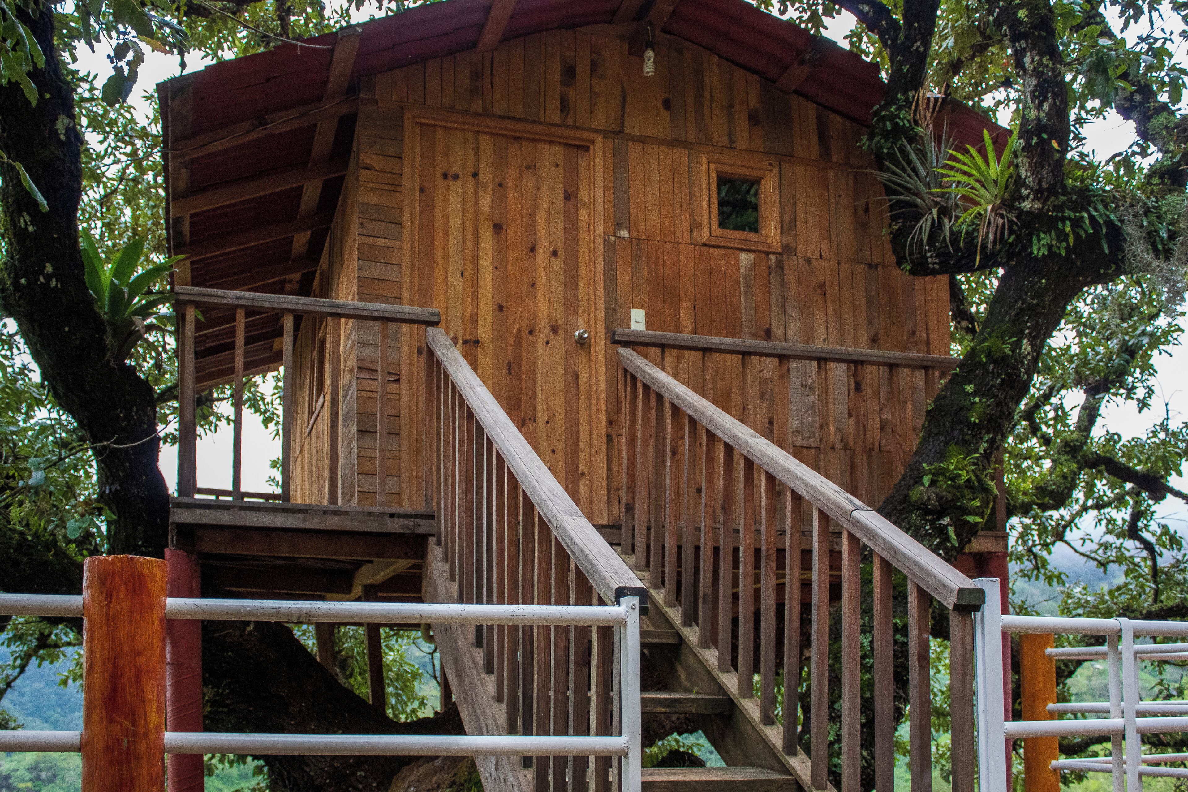 สแตนดาร์ดเคบิน, วิวสวน