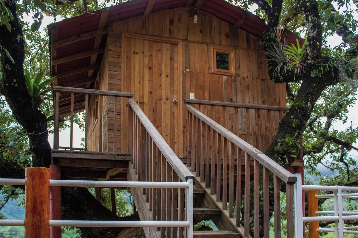 A wooden treehouse with a wooden staircase and a metal railing.