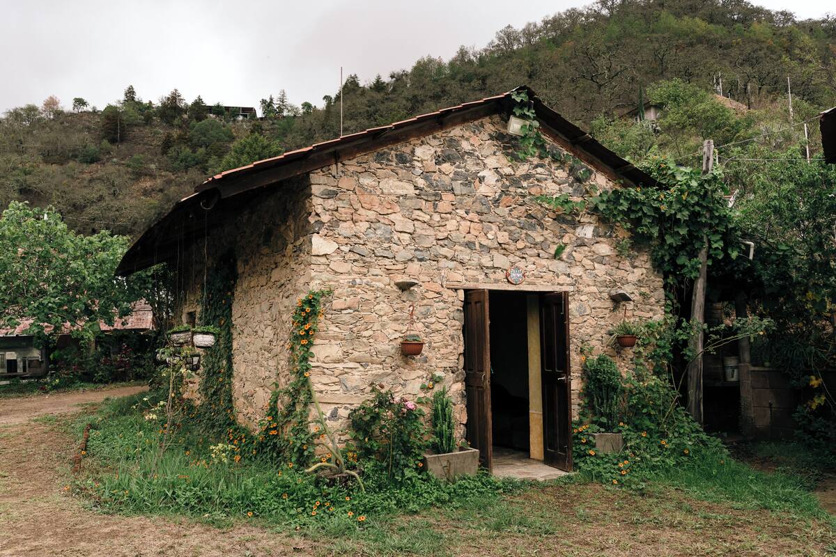 A rustic stone building with a sloped roof, surrounded by lush greenery and flowering plants.