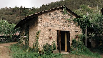 Familien-Ferienhütte, Gartenblick