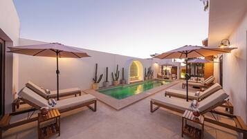 A poolside area with lounge chairs and umbrellas, a pool, and cacti.