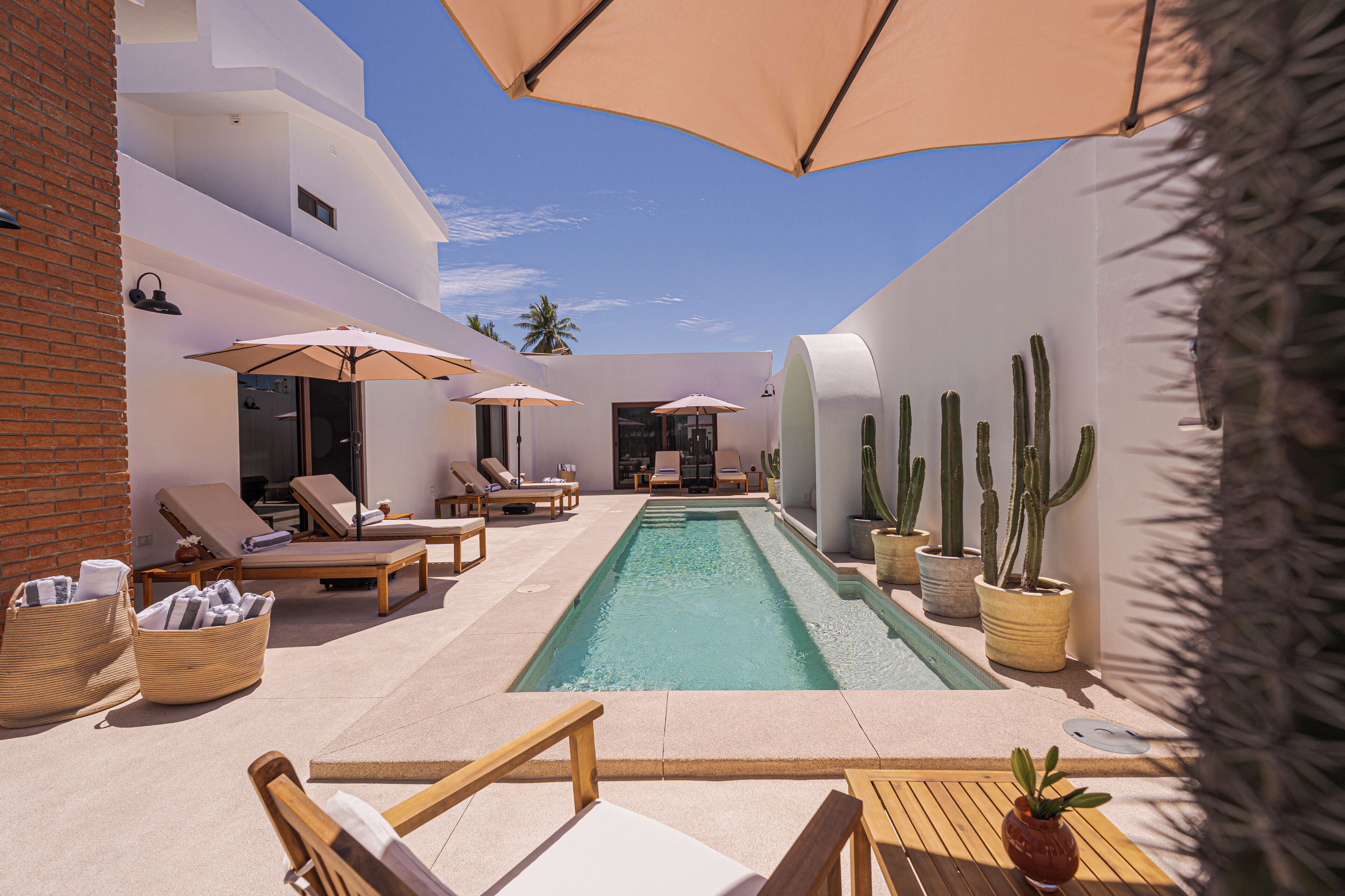 A pool area with lounge chairs, umbrellas, and cacti.
