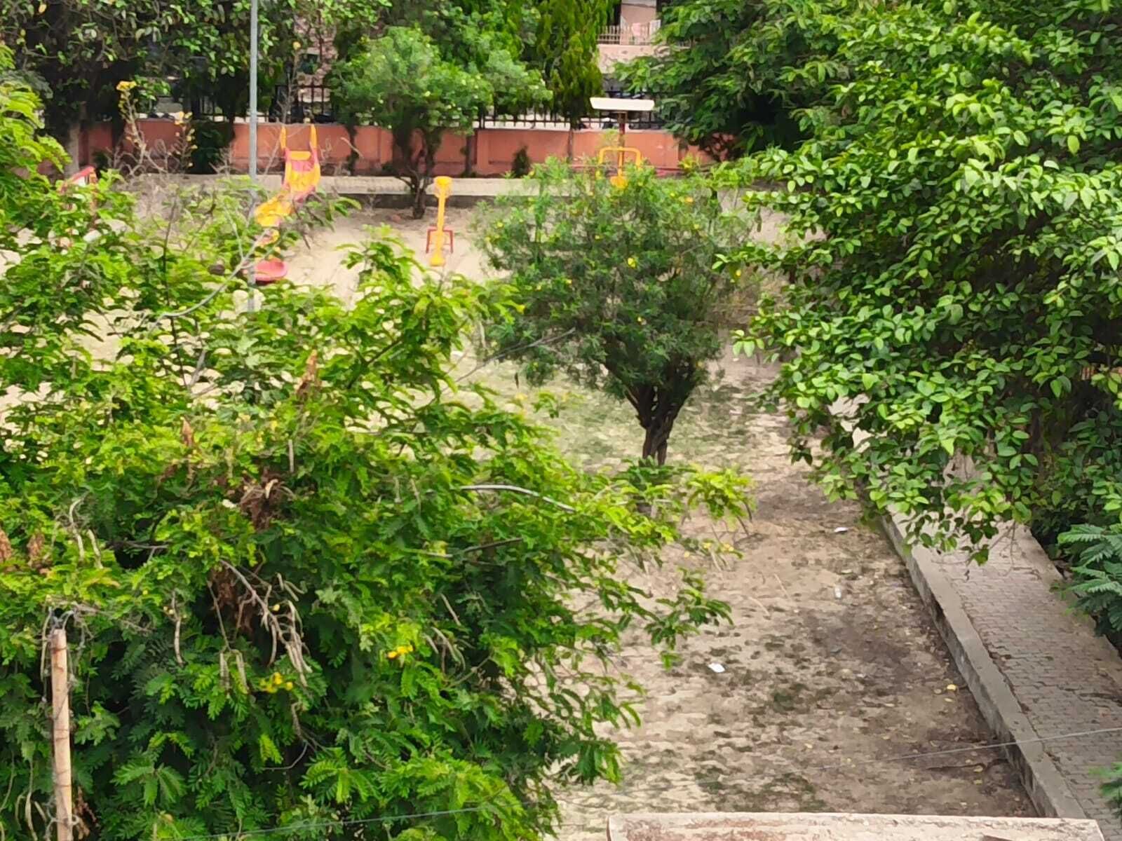 A garden area with a dirt path, trees, and a yellow structure.