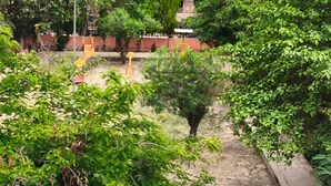 Un jardín con un sendero de tierra, árboles y una estructura amarilla.