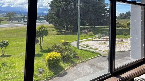 Vista desde una ventana: cielo despejado, un árbol grande y una zona verde con un sendero.
